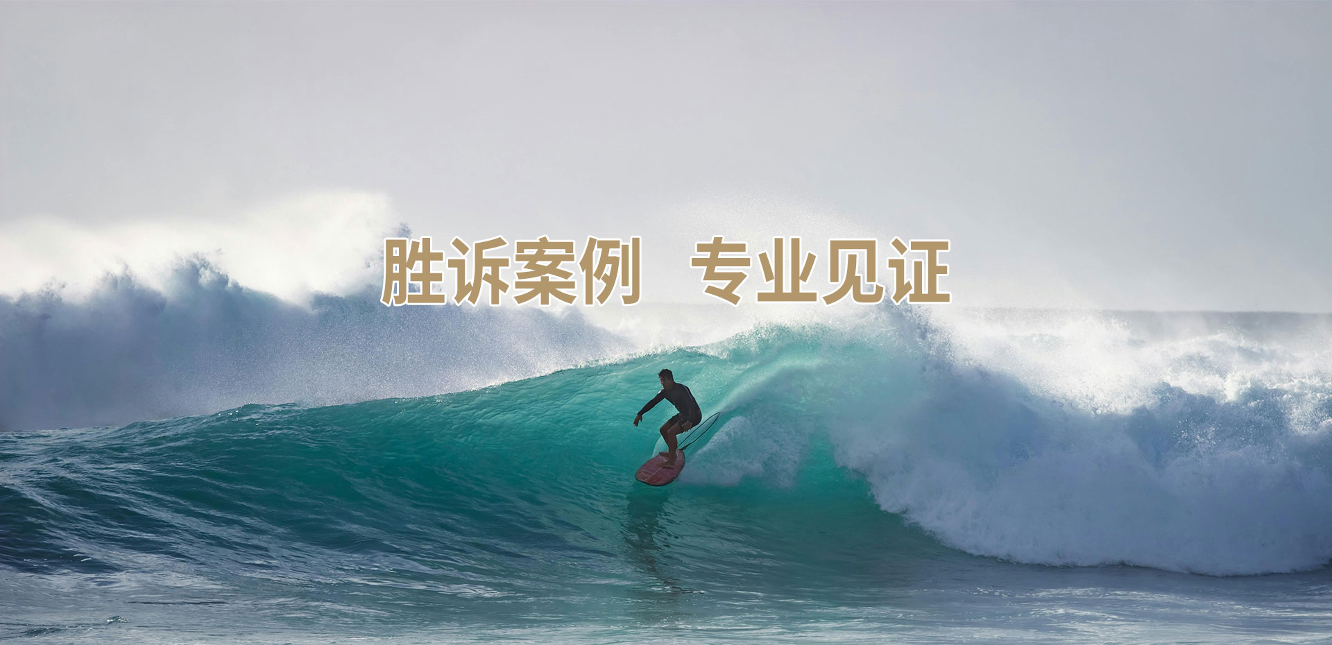 胜诉案例 专业参考